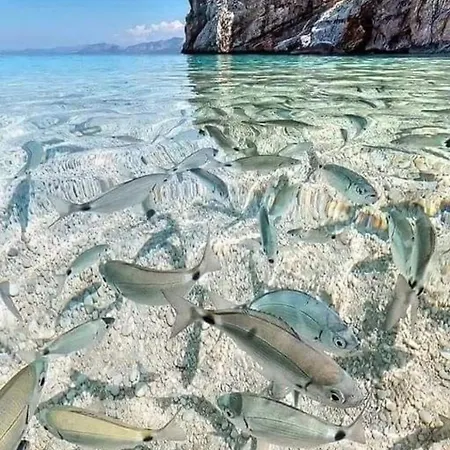 Apartmani Omisalj Apartament