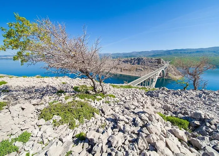 Apartmani Omisalj Daire